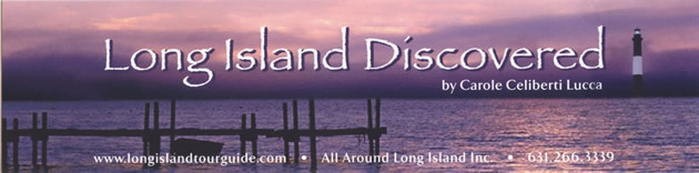 Long Island Discovered bookmark